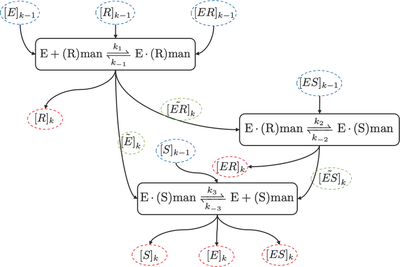 Algorithm to calculate concentrations in time step $k$ from previous time step $k-1$. Variables from the previous time step $k-1$, the current time step $k$ and auxiliary variables are highlighted blue, red, and green, respectively